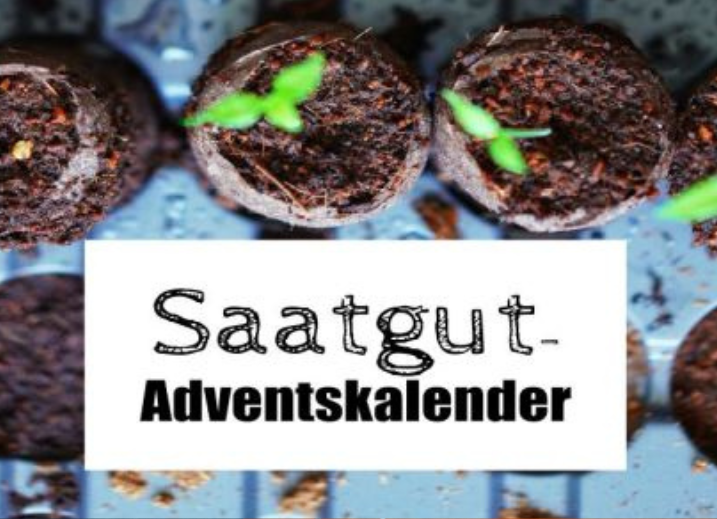 Saatgut-Adventskalender basteln im November