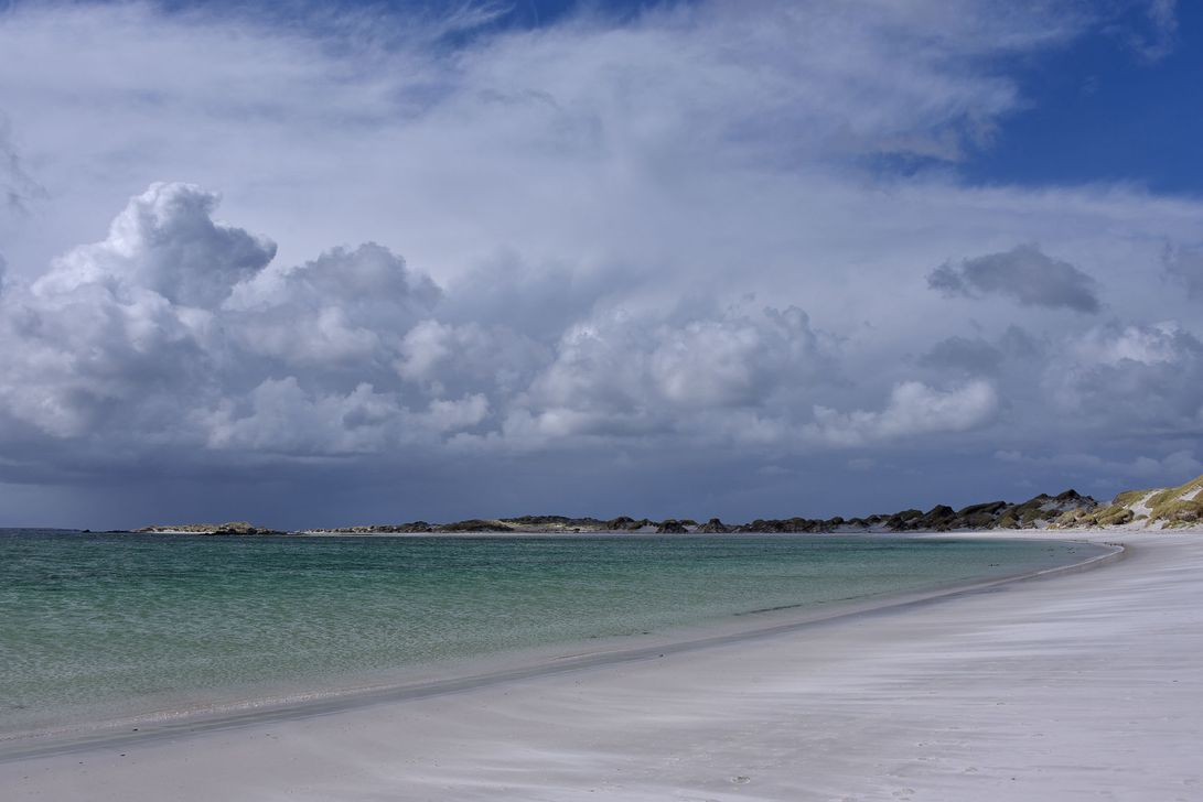 Falklandinseln (c) Maria Clauss