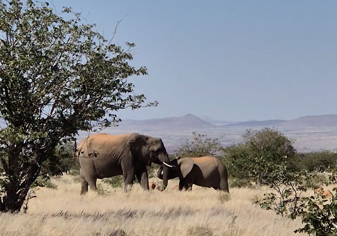 Fernwehreisen Namibia, ©Anke Thätner