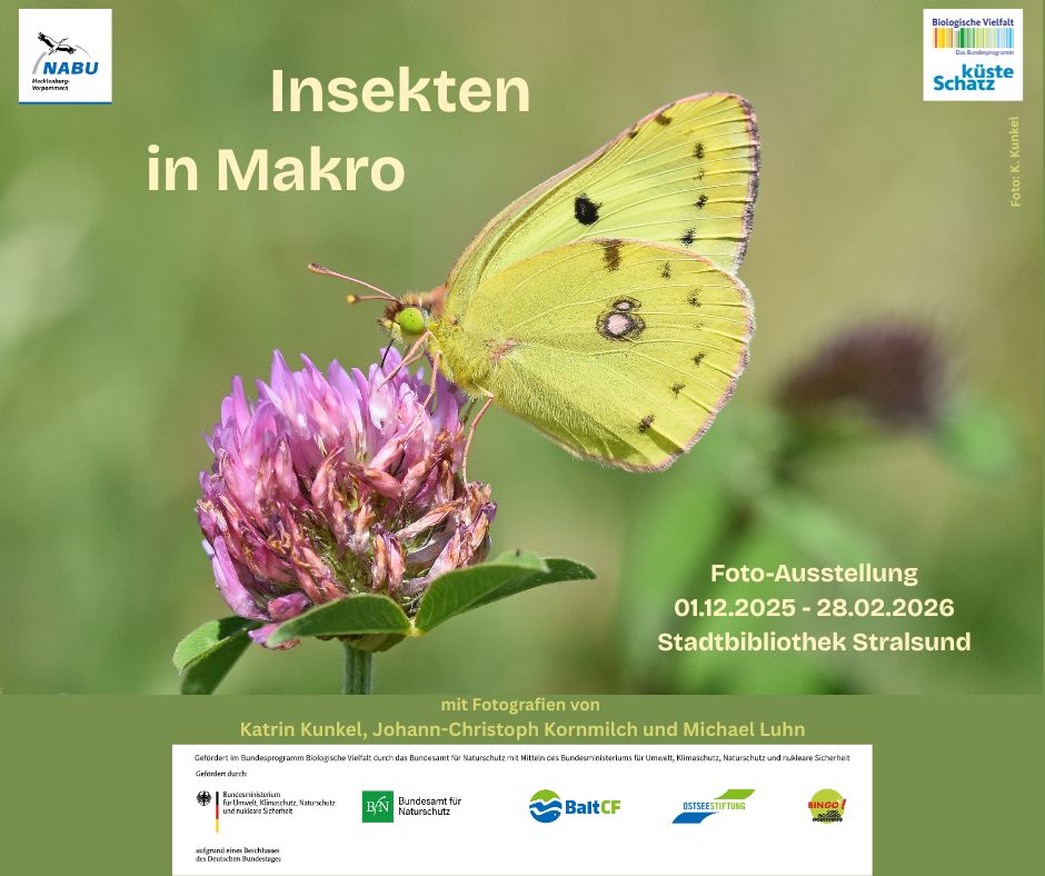 Insektenausstellung Stralsund facebook
