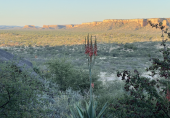 Teaser Namibia 2-1