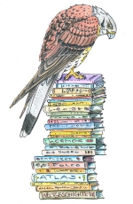 Das Maskottchen des Büchertürmeprojekts Falko der Falke sitzt auf einem Stapel Bücher.